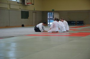 Shiho-Nage Suwariwaza