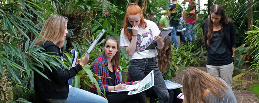 Die Grüne Schule vermittelt Wissen über die Biologie und Vielfalt der Pflanzen an alle Altersgruppen. Die Grüne Schule vermittelt Wissen über die Biologie und Vielfalt der Pflanzen an alle Altersgruppen.