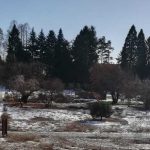 Das ist der Alternativtext: Botanischer Garten im Winter