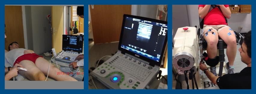 Biodex Isokinet mit EMG