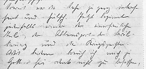 „Jetzt beginnt jedenfalls wieder der unerfreuliche Teil. …“. Handschrift aus dem Nachlass Wolffskeel von Reichenbergs im Bundesarchiv-Militärarchiv Freiburg, N 138-6.