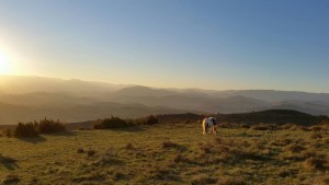 Ardèche - Märchenlandschaft