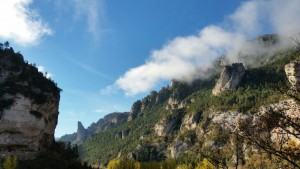 Gorges du Tarn