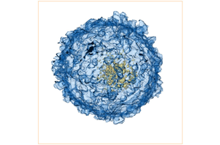 Tomography pictures of a graupel