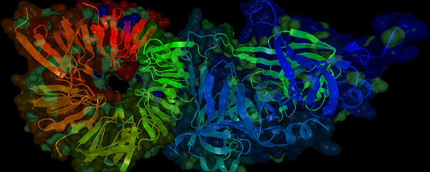 Institute of Computer Science Institute of Computer Science