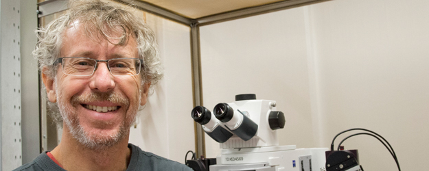 Die Grundlagenforschung von Dr. Alejandro F. Schinder liefert wichtige Aufschlüsse über den Einbau neuer Nervenzellen in das erwachsene Gehirn. (Foto: Peter Pulkowski) Die Grundlagenforschung von Dr. Alejandro F. Schinder liefert wichtige Aufschlüsse über den Einbau neuer Nervenzellen in das erwachsene Gehirn. (Foto: Peter Pulkowski)