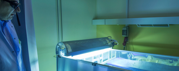 In den vergangenen Jahren haben PD Dr. Detlef Becker und sein Team gute Ergebnisse mit der Blaulichttherapie erzielt. (Foto: Peter Pulkowski) In den vergangenen Jahren haben PD Dr. Detlef Becker und sein Team gute Ergebnisse mit der Blaulichttherapie erzielt. (Foto: Peter Pulkowski)