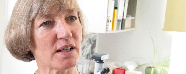 Dr. Margarethe König hat mittlerweile rund 4.000 Proben in der Archäobotanischen Vergleichssammlung zusammengetragen. (Foto: Peter Pulkowski) Dr. Margarethe König hat mittlerweile rund 4.000 Proben in der Archäobotanischen Vergleichssammlung zusammengetragen. (Foto: Peter Pulkowski)