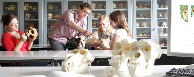 PD Dr. Holger Herlyn hat die osteologische Lehrsammlung am Institut für Anthropologie in den letzten drei Jahren aufgebaut. (Foto: Thomas Hartmann)