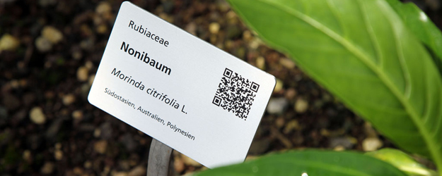 Anlässlich der Themenwoche Anlässlich der Themenwoche