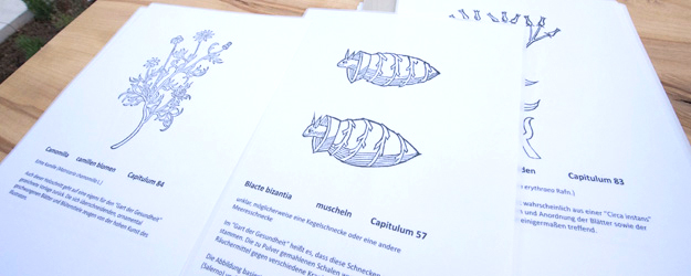 Der Mainzer Domdekan Bernhard von Breidenbach ließ das spätmittelalterliche Kräuterbuch mit größtenteils naturgetreuen Darstellungen der Pflanzen bestücken. (Foto: Peter Pulkowski) Der Mainzer Domdekan Bernhard von Breidenbach ließ das spätmittelalterliche Kräuterbuch mit größtenteils naturgetreuen Darstellungen der Pflanzen bestücken. (Foto: Peter Pulkowski)