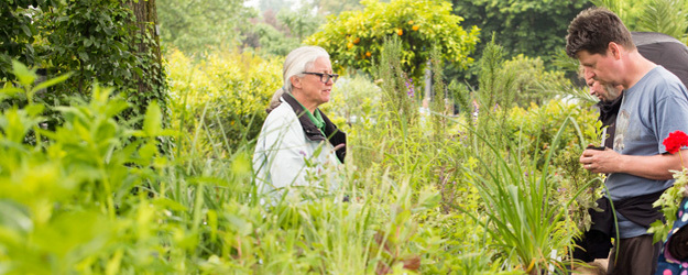 Auch der Pflanzenbasar hat Tradition und erfreut sich jedes Jahr großer Beliebtheit. (Foto: Stefan F. Sämmer) Auch der Pflanzenbasar hat Tradition und erfreut sich jedes Jahr großer Beliebtheit. (Foto: Stefan F. Sämmer)