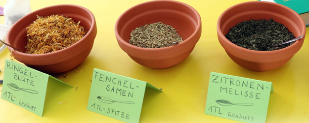 Am Stand der Grünen Schule der JGU konnten sich Besucherinnen und Besucher eigene Kräutertees zusammenmischen und die Bestandteile vorher selbst untersuchen. (Foto: Stefan F. Sämmer) Am Stand der Grünen Schule der JGU konnten sich Besucherinnen und Besucher eigene Kräutertees zusammenmischen und die Bestandteile vorher selbst untersuchen. (Foto: Stefan F. Sämmer)
