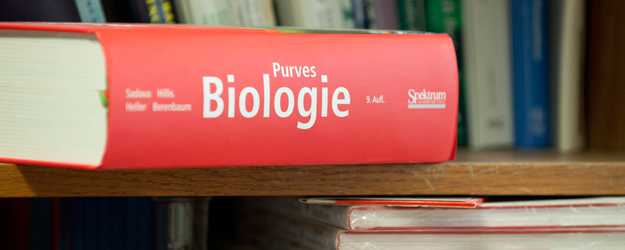 Paulsen started working with LHCII as a postdoc at Harvard University in the mid-eighties. (photo: Peter Pulkowski) Paulsen started working with LHCII as a postdoc at Harvard University in the mid-eighties. (photo: Peter Pulkowski)