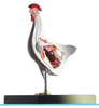 Bildlink