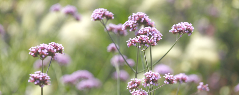 Dies ist nur ein Test Dies ist nur ein Test