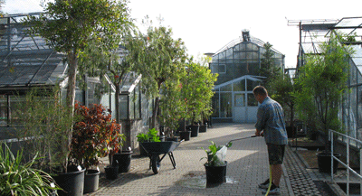 Gewachshauser Botgarten