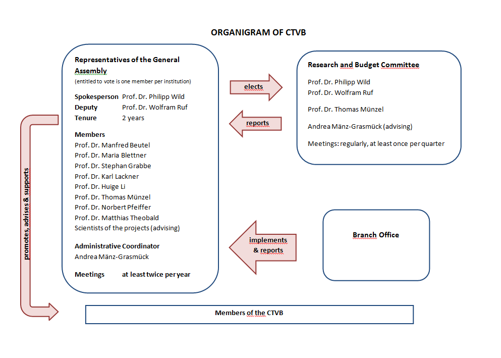 organisation_ctvb_engl_neu