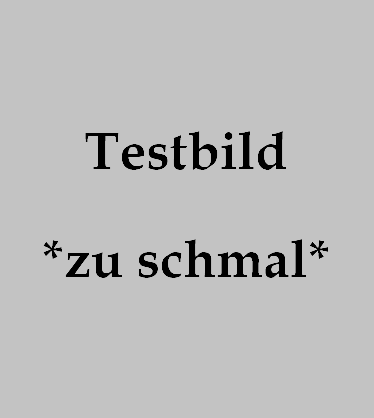 Schmaleres Testbild: 374x418 Pixel