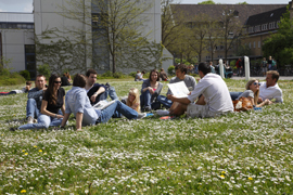 Studenten auf Wiese