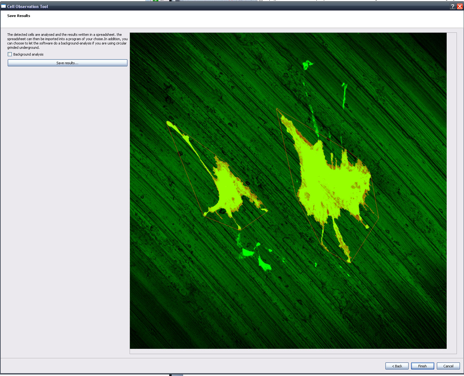 Screenshot of segmentation results