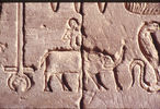 Kindhieroglyphe im Tempel von Dendera (©Dagmar Budde) 