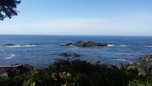 Aussichtspunkt auf dem Wild Pacific Trail, Vancouver Island.