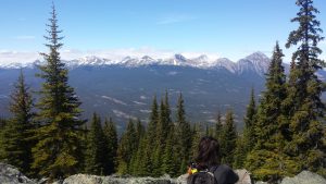 Wandern in den Rocky Mountains, Jasper: watch out bears may crossing!