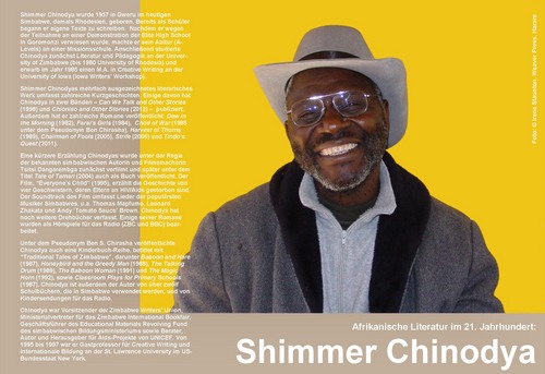 Shimmer Chinodya