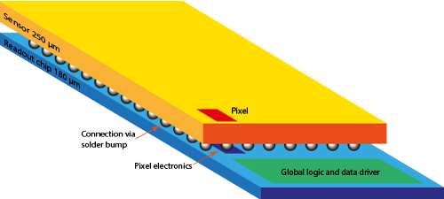 Hybrid Pixel detector