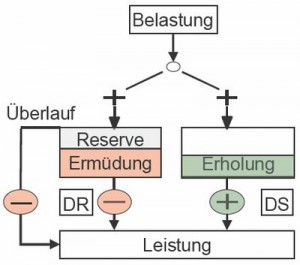 Ausdaueroptimierung mit PerPot