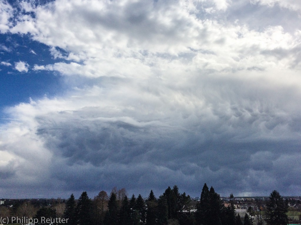 20150331_mammatus-3