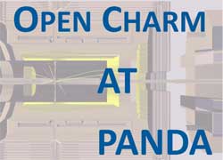 Workshop on future opportunities for open charm physics at PANDA