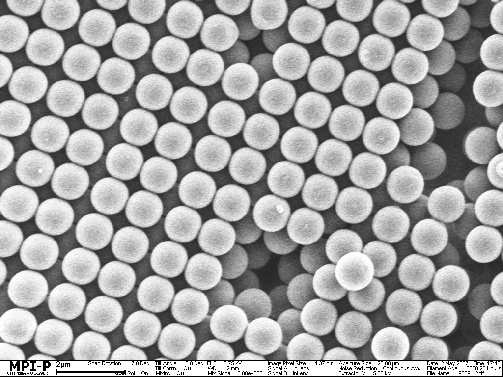 electron micrograph of colloidal fcc 100 plane