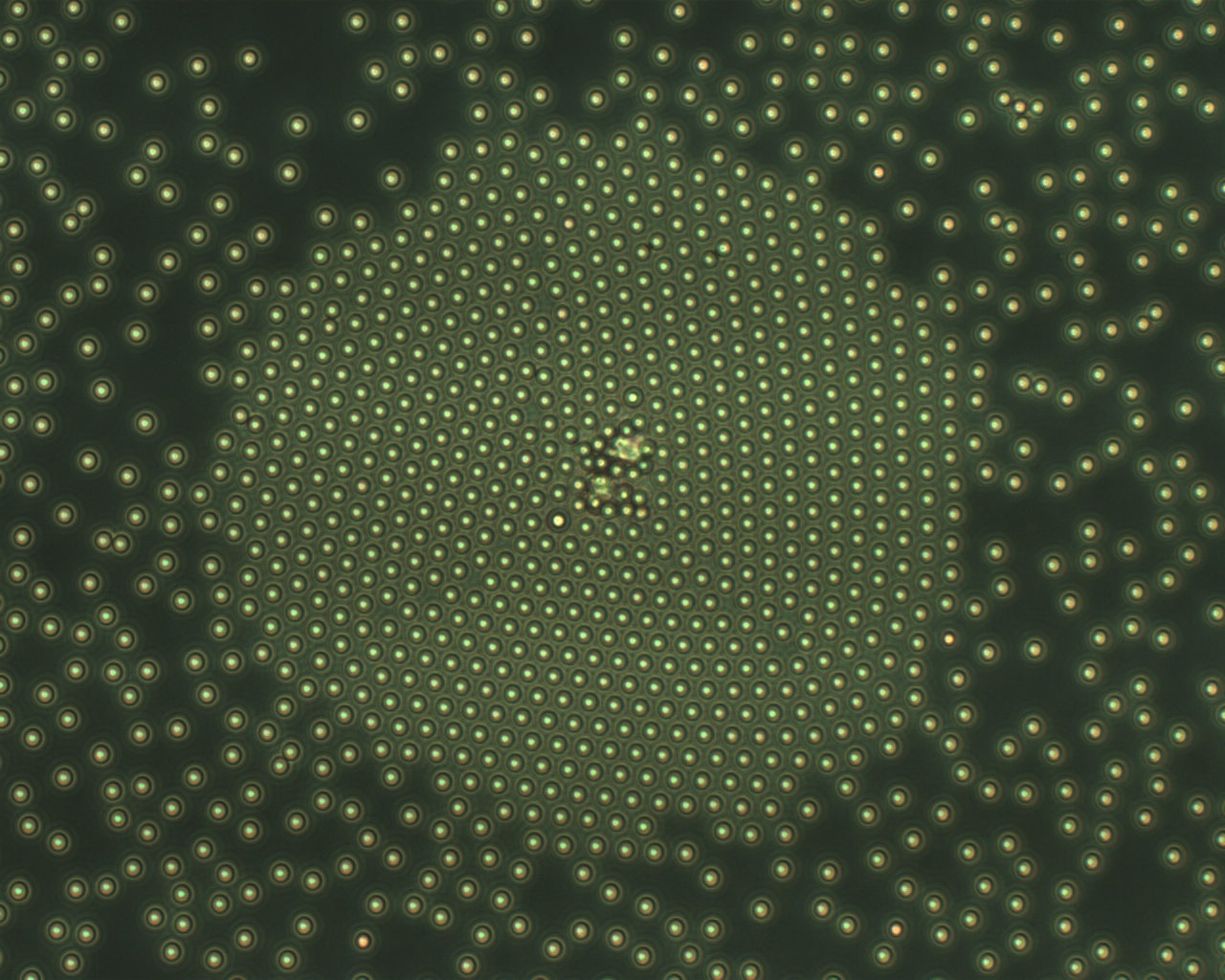 particle resolution heterogeneous nucleation and phoresis controlled growth