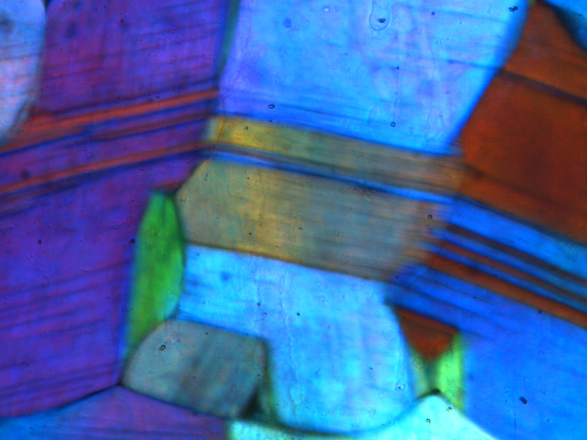 fcc twinstructure in a polycrystalline colloidal solid- Bragg Microscopy