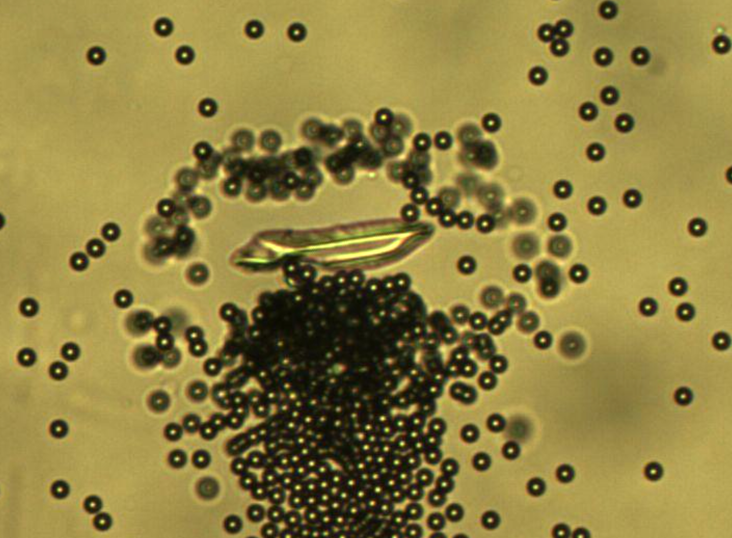 ion echange driven modular swimmer