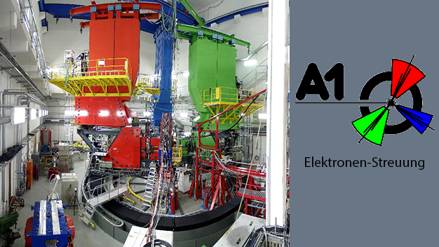 The A1 collaboration oversees various experiments on electron scattering at MAMI.