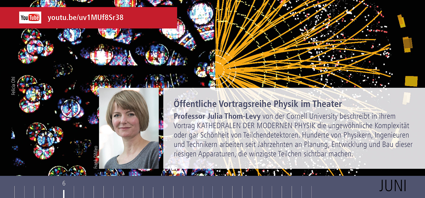 Link zum Video Vortrag Thom-Levy 