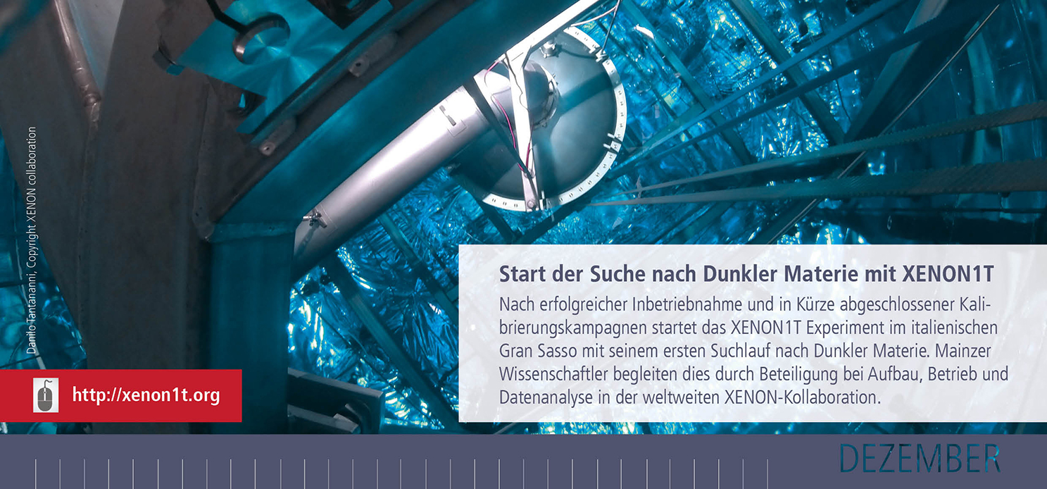 Link zur Webseite der XENON1T Kollaboration