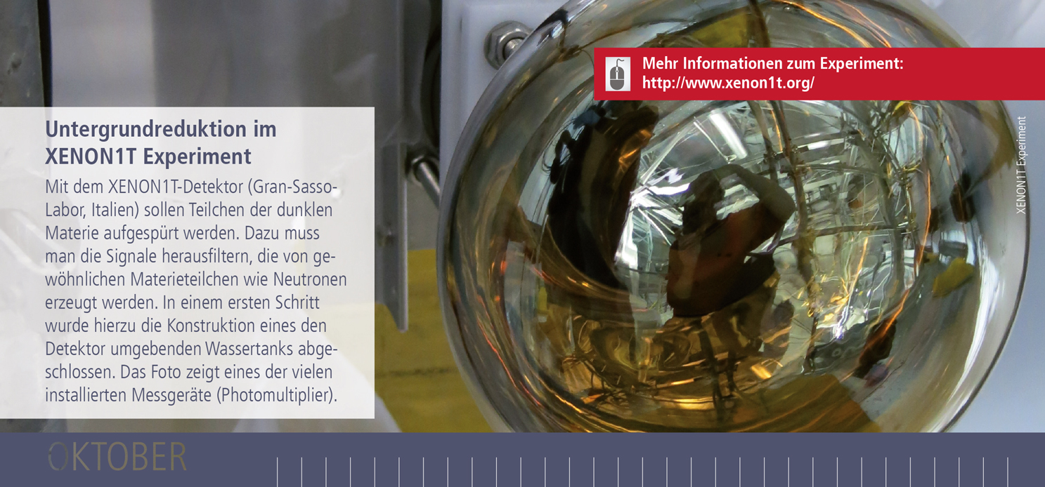 Detaillierte Informationen zum XENON1T Experiment und zum Bau des Muon Veto Detektors (auf Englisch) - Link öffnet neues Browserfenster.