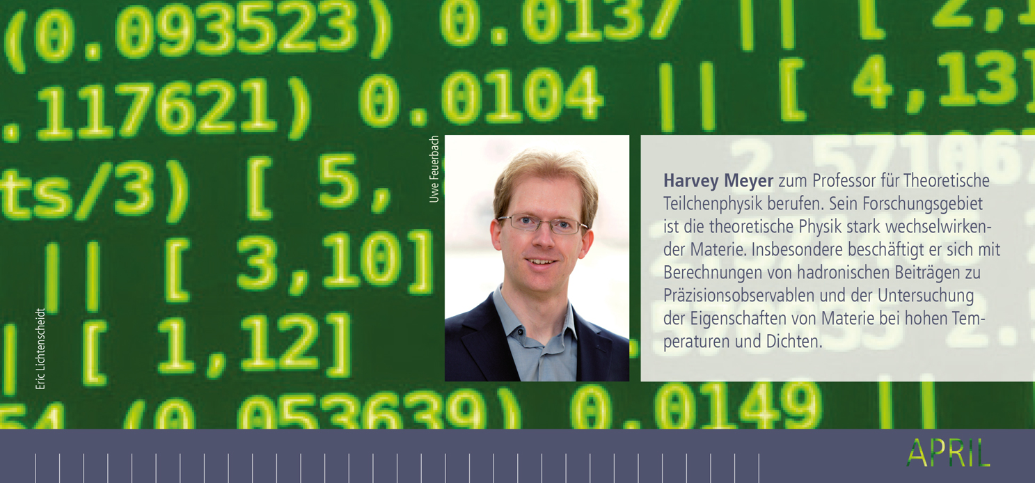 Mehr zu Forschung und wissenschaftlichem Werdegang von Professor Dr. Harvey Meyer.