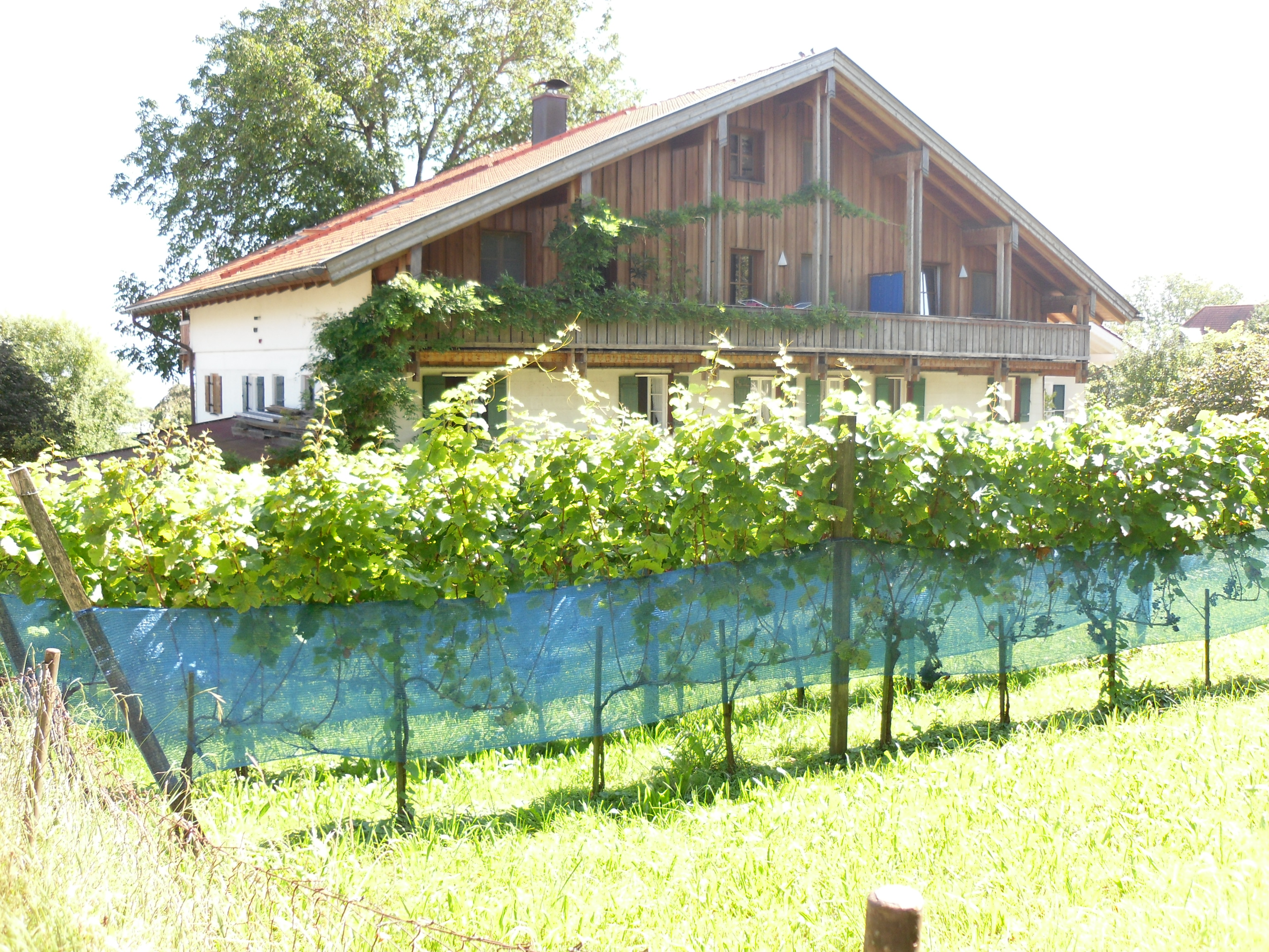 Impressions of Fraueninsel-Chiemsee