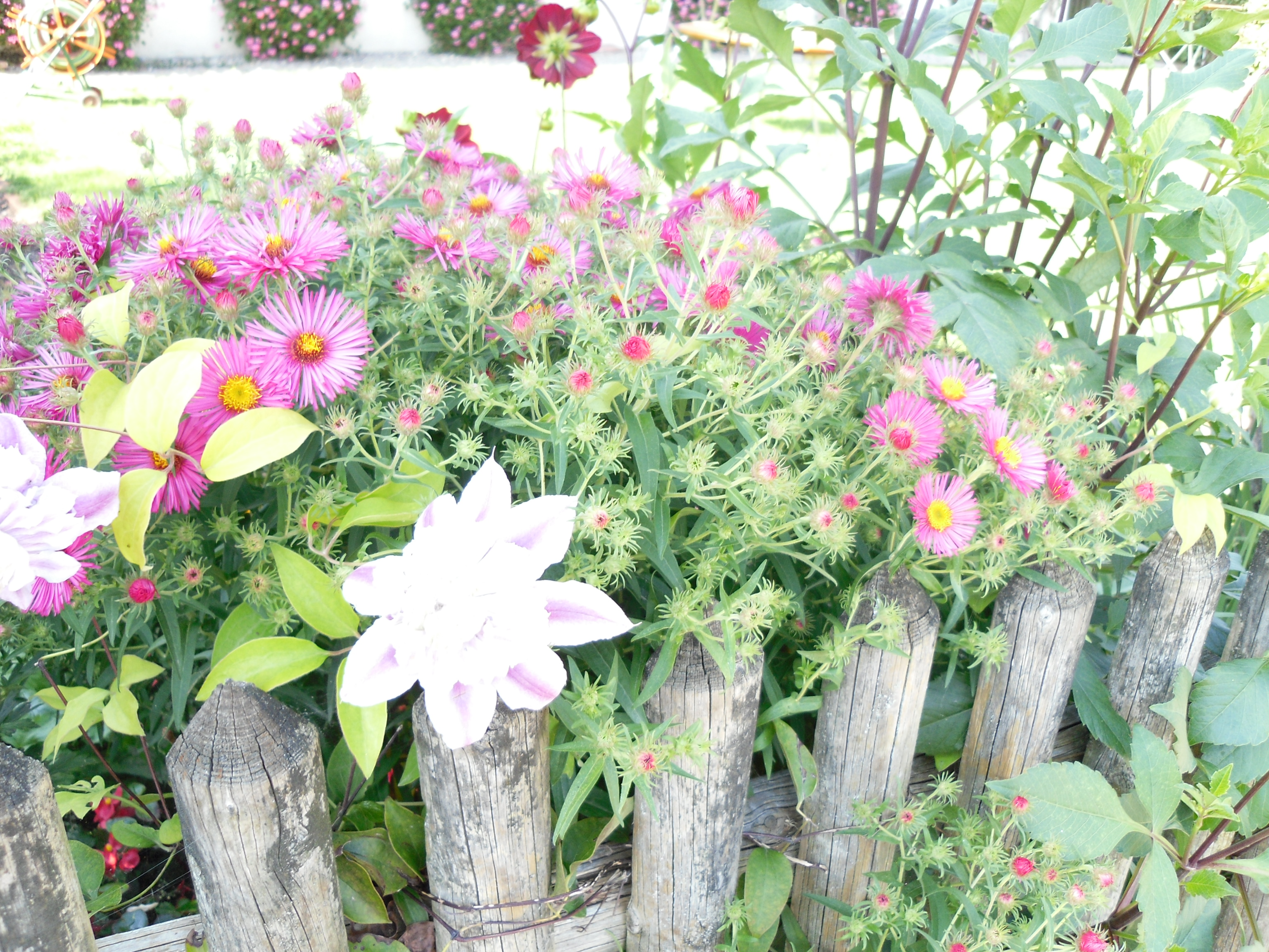 Impressions of Fraueninsel-Chiemsee