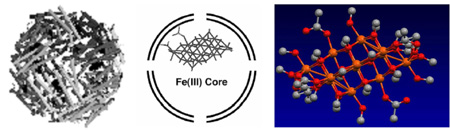 Picture of ferritin with models (Taft et al. Science 1993) for the iron uptake and storage