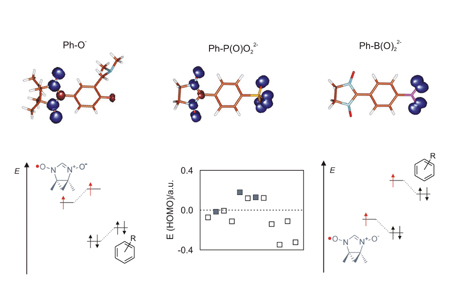Calculated spin density distribution in para-substituted phenyl-nitronyl nitroxides. Contribution of the radical character to the resulting SOMO.