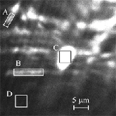 Photoemission spectra of individual selected MoS2 nanotubes on a Si subtrate with femtosecond laser excitation and the associated computed density of states. 