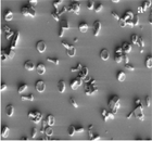  controlled crystallization of CaCO3 