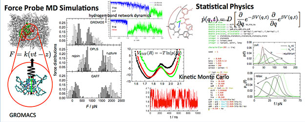 Research Focus Prof. Gregor Diezemann