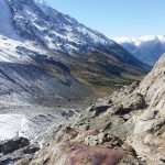 1850er Seitenmoräne Langgletscher